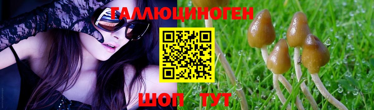 Псилоцибиновые грибы Psilocybe  Вход с VPN  Приморско-Ахтарск 